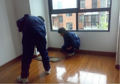 廈門(mén)陽(yáng)桄家政 專業(yè)地毯與工廠清洗，明碼標(biāo)價(jià)服務(wù)周到